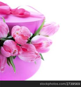 Pink tulips and gift box on a white background