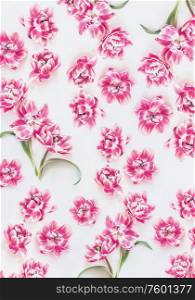 Pink tulips bloom flowers pattern on white background. Top view. Flat lay. Layout. Springtime concept. Mothers day. Beauty