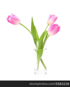 Pink tulips bouquet in vase isolated on white background