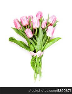 pink tulips frame isolated on white, for design
