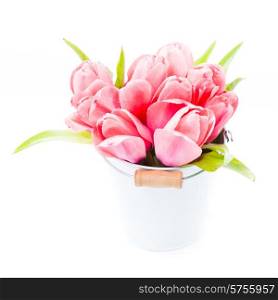 Pink tulips in decorative bucket close up. Pink tulips
