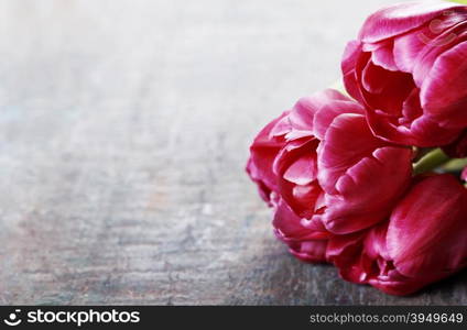 Pink tulips on a wooden background with space for text