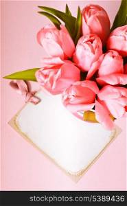 Pink tulips with card closeup