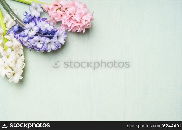 Pink,white and blue hyacinths flowers bunch on on light shabby chic background, top view, place for text.