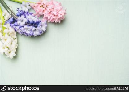 Pink,white and blue hyacinths flowers bunch on on light shabby chic background, top view, place for text.