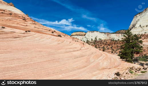 Pinky rocky waves in Zion National Park, USA