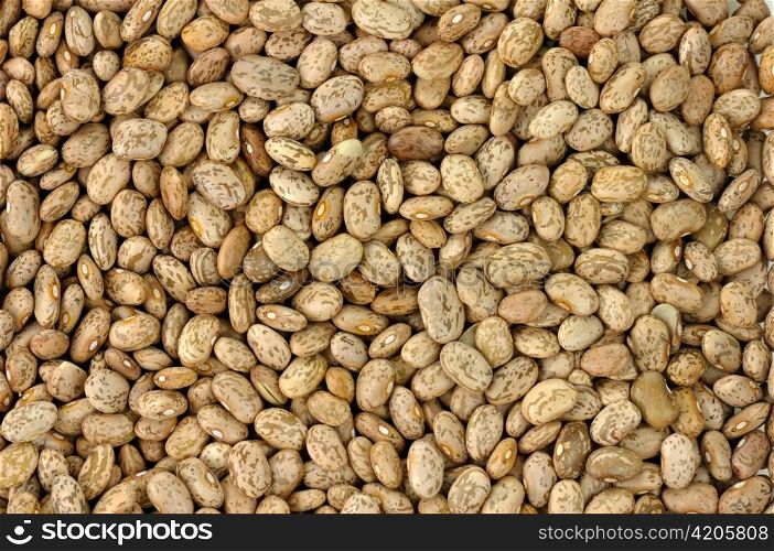 pinto beans background