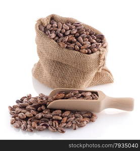 Pinto beans bag with wooden scoop on white background.