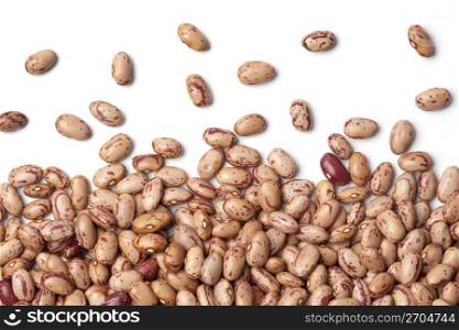 Pinto beans ,Phaseolus vulgaris