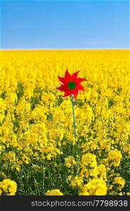 pinwheel in a field of yellow rape against the blue sky