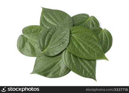 Piper betle leaves on white background