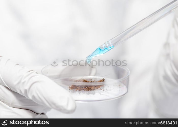 pipette with blue liquid and soil sample in the hands of researchers closeup