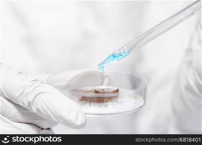 pipette with blue liquid and soil sample in the hands of researchers closeup