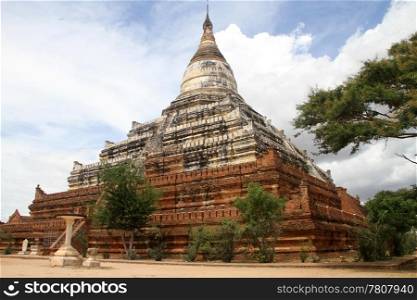 Piramid temple Mingala zedi and tree in Bagan, Myanmar