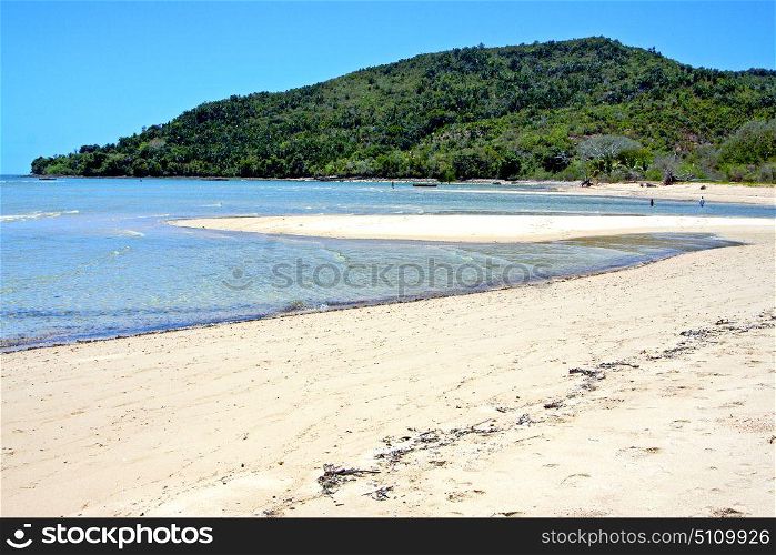 pirogue beach seaweed in indian ocean madagascar people sand isle sky and rock