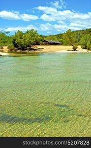 pirogue beach seaweed in indian ocean madagascar people sand isle sky and rock