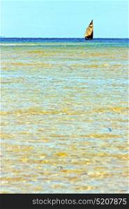 pirogue beach seaweed in indian ocean madagascar people sand isle sky and rock