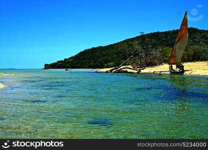 pirogue beach seaweed in indian ocean madagascar people sand isle sky and rock