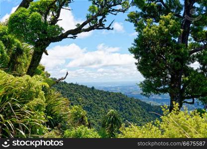 Pirongia Mountain, Waikato, New Zealand. Vista of Mt Pirongia in New Zealand from near the summit