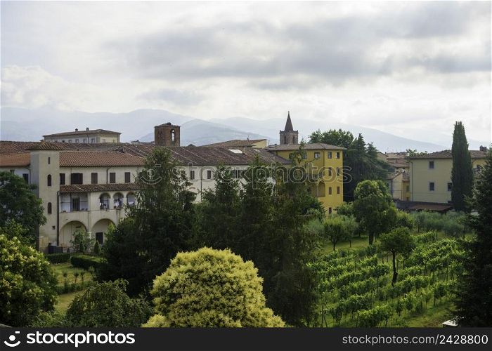 Pistoia, Tuscany, Italy: a vineyard in the city