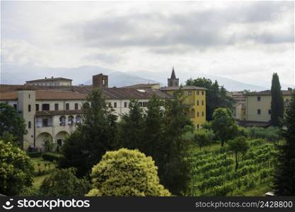 Pistoia, Tuscany, Italy: a vineyard in the city