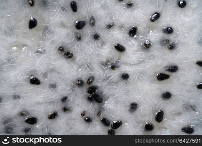 Pitaya dragon fruit pitahaya macro detail indoor texture