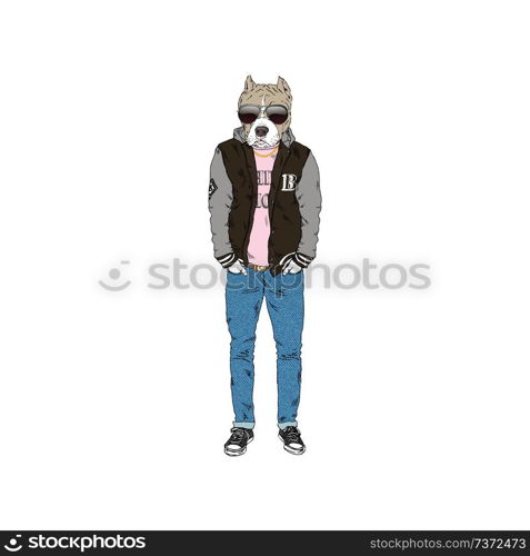 Pitbull dog dressed up in modern city swag style, anthropomorphic animal illustration. animal dressed up in, anthropomorphic animal illustration