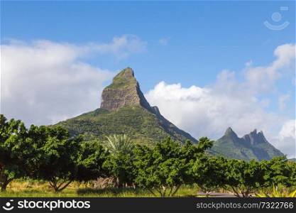 Piton de la Petite mountain in Mauritius panoramic.. Piton de la Petite mountain in Mauritius panoramic