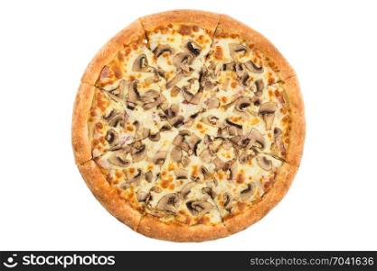 Pizza isolated on white background. Top view