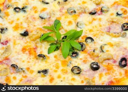 pizza with ham, mushrooms and black olives, a closeup shot