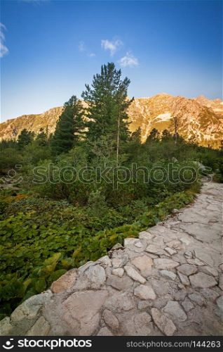 Place near Popradske pleso with a great view on Tatra mountains.. Valley in Tatra Mountains, Slovakia, Europe