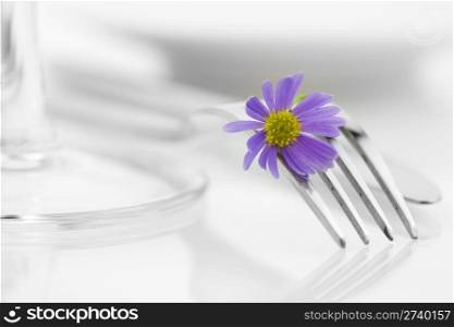 Place setting with purple flower. Health and diet concept