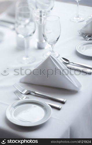 Place Settings on Dining Table