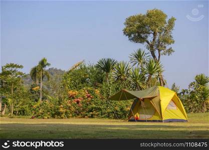 Place the tent on the lawn outdoors