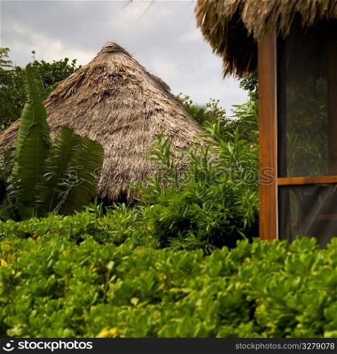 Placencia, Thatched Roof