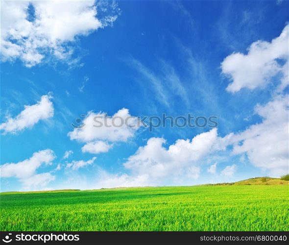 Plain and blue sky. Nature composition.