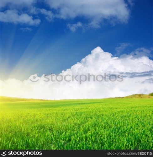 Plain and blue sky. Nature composition.