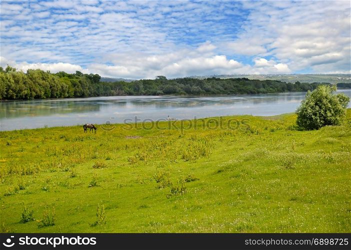 Plain river, meadow and floodplain forest on the shore.