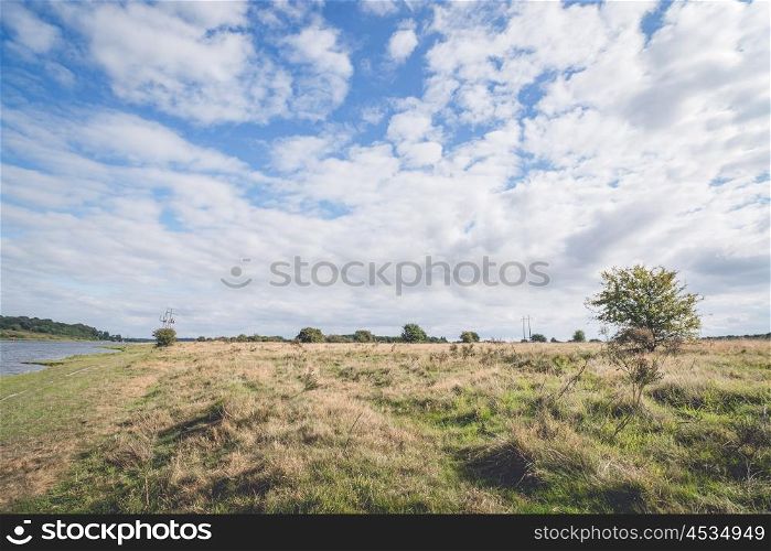 Plains with tall grass and blue sky in a countryside