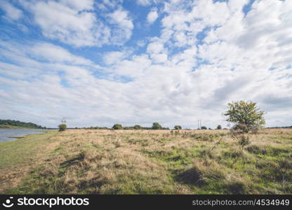 Plains with tall grass and blue sky in a countryside