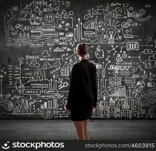 Planning business. Rear view of businesswoman looking at business sketches on wall