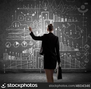 Planning business. Rear view of businesswoman looking at business sketches on wall