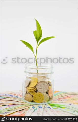 plant and coins in glass jar, currency, investment and business concepts