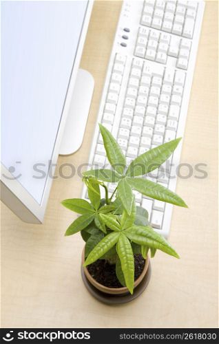 Plant and computer