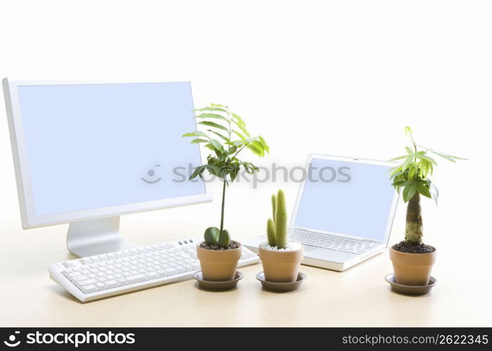 Plant and computer