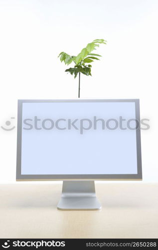 Plant and computer