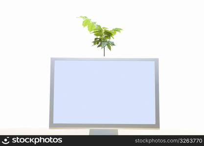 Plant and computer