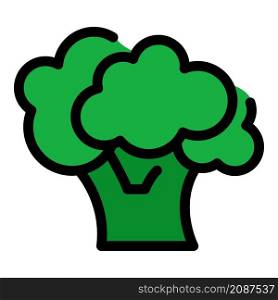 Plant broccoli icon. Outline plant broccoli vector icon color flat isolated. Plant broccoli icon color outline vector