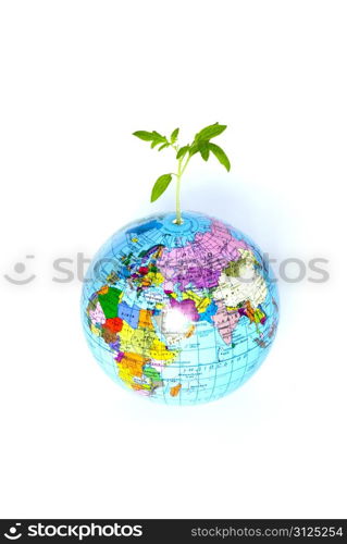 plant from a globe on a white backgroun