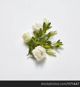 Plant greeting card from branch of evergreen boxwood leaves and white roses on a light grey background, copy space. Valentine&rsquo;s Day concept.. Congratulation card with natural green twig and roses.